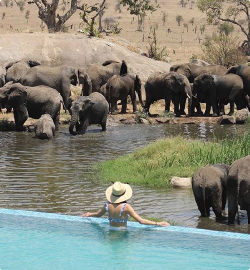 Tanzania, Serengeti national park
